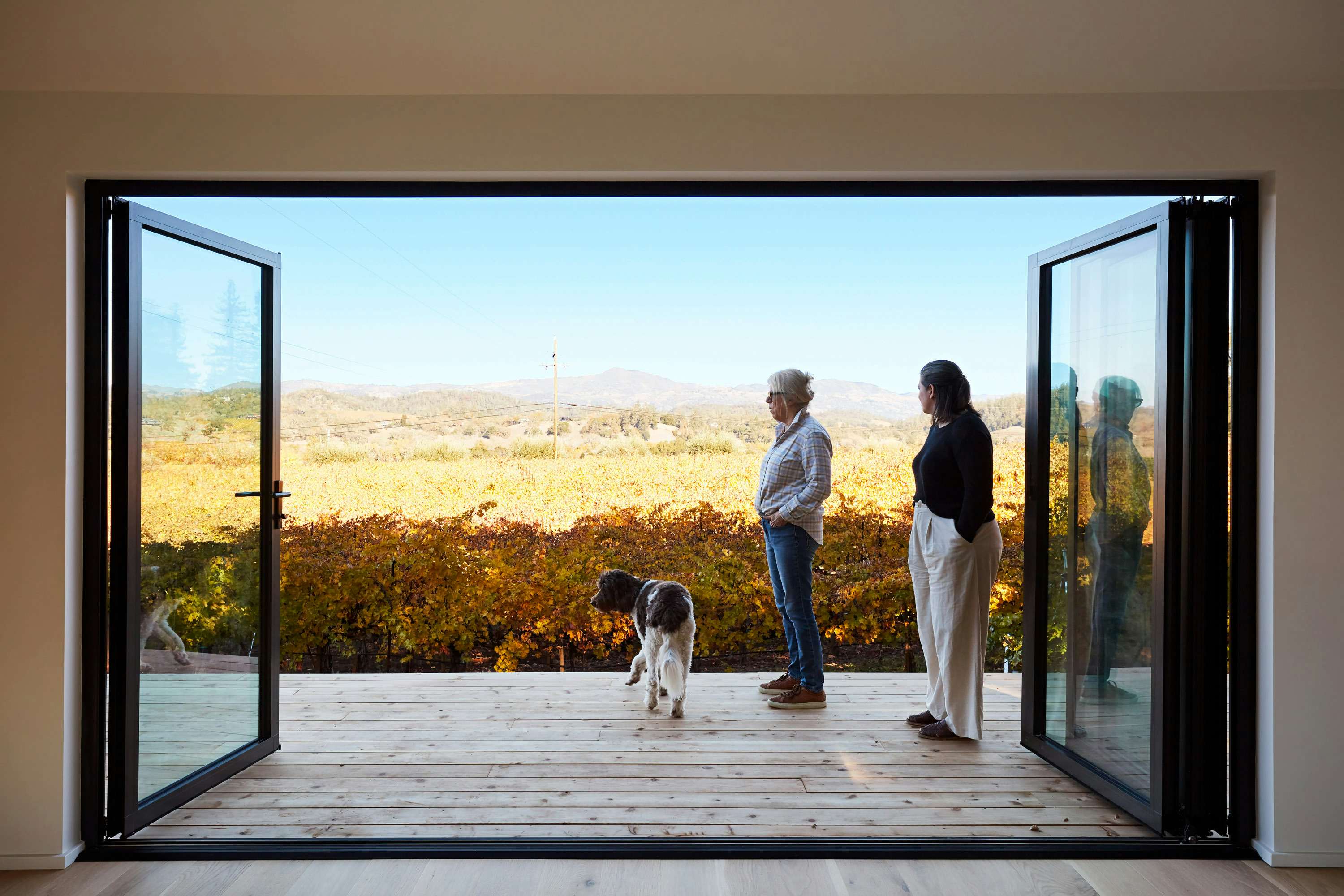 Leslie์ ๊ทธ๋
์ ๋ธ Sophie๋ labradoodle Bean๊ณผ ํจ๊ป ๊ฐํ์ ์ ์์ต๋๋ค. Leslie๋ "์ง์์ ๋ด ๋์ ์ฌ๋ก์ก์ ๋ ๊ฐ์ง๋ ์ผ๋๋ฌด ์ฌ์ด๋ฉ๊ณผ ์ ๋ ์ ๋ฆฌ๋ฒฝ์ด์์ต๋๋ค."๋ผ๊ณ ๋งํ์ต๋๋ค. "์ด๋ณด๋ค ๋ ์ข์ ์์ผ๋ ์์ ๊ฒ์
๋๋ค." Sophie๊ฐ ๋ง๋ถ์
๋๋ค. "์ฐ๋ฆฌ๋ ๊ฑฐ์ ๋ฐํฌ์์ ์ด๊ธฐ ๋๋ฌธ์ ๊ฑธ์ด์ ๋๋๋ค ์ ์๋ ๊ฒ์ด ์ด์์ ์
๋๋ค."